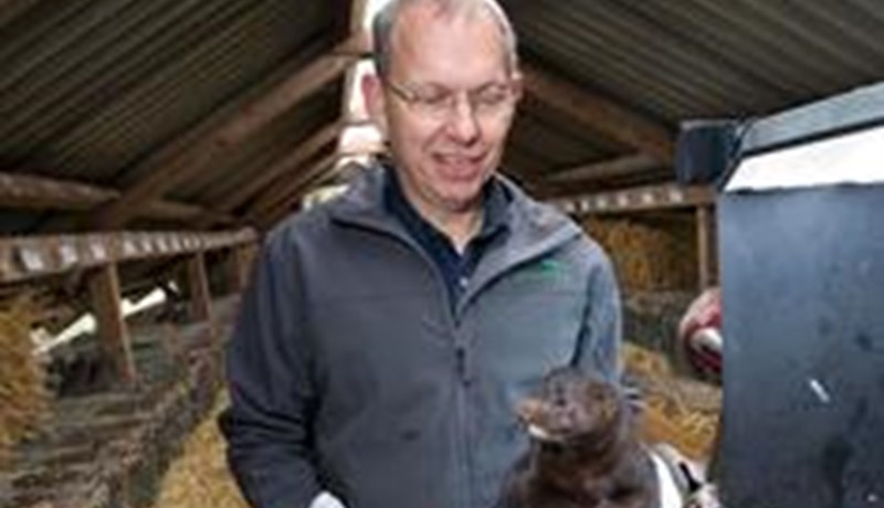 Kórónasmituðum minkum verður ekki slátrað