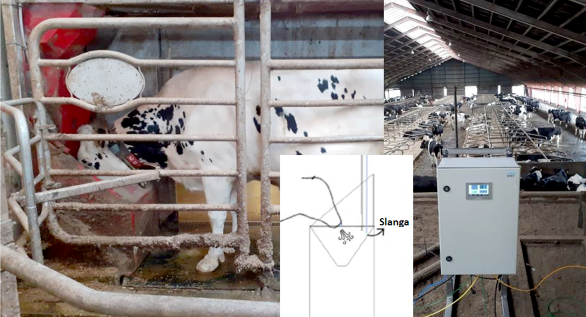 Fagþing dönsku nautgriparæktarinnar 2023 - Fyrsti hluti