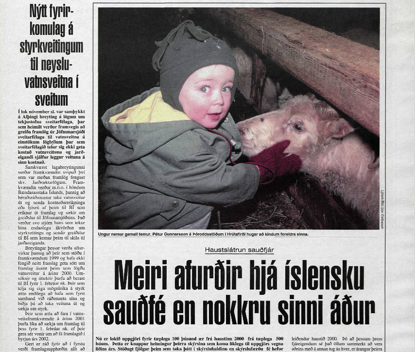 Metár í sauðfjárafurðum haustið 2000