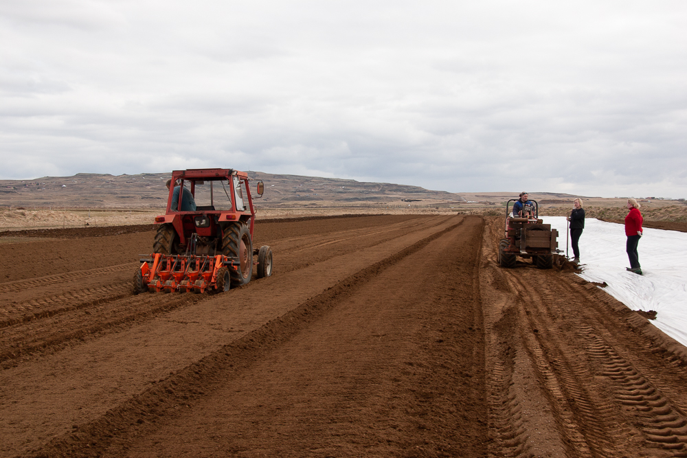 Búið að borga út jarðræktarstyrki og landgreiðslur