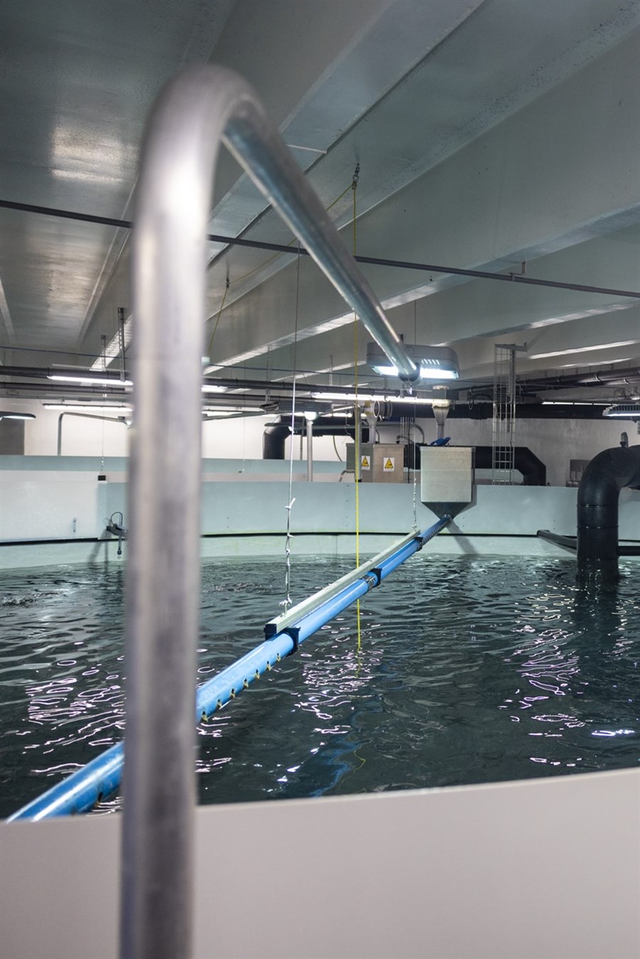 Í flestum tilfellum þar sem fiskur hefur sloppið úr landeldi er talin afar lítil hætta á að hann valdi umhverfinu skaða. Matvælastofnun rannsakar hvert tilvik til þess að hægt sé að læra af mistökunum og koma í veg fyrir að sambærileg atvik endurtaki sig. Meðfylgjandi mynd er tekin í seiðaeldi Laxeyjar í Vestmannaeyjum. 