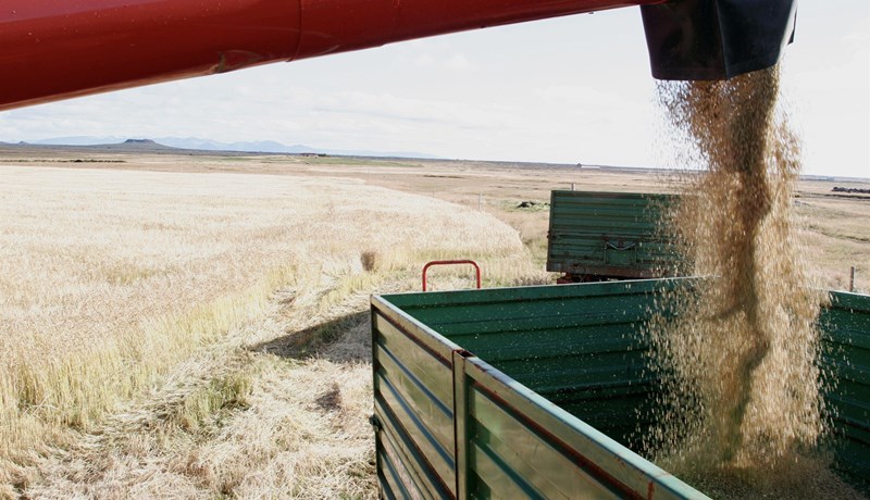 Þingsályktunartillaga um eflingu kornræktar