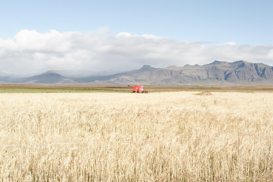 Umhverfis- og samgöngunefnd Alþingis bætti við þingsályktunartillögu um landsskipulagsstefnu aðgerð sem snýr að verndun landbúnaðarlands í ríkiseigu.