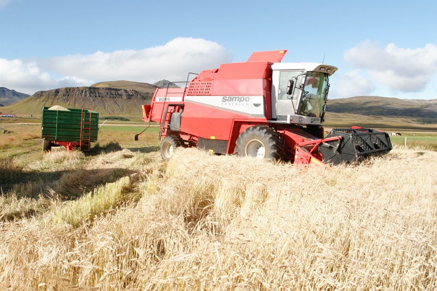 Í skýrslunni um fæðuöryggi segir að mikilvægt sé að styrkja birgðakeðjur, efla kornrækt og byggja upp birgðahald til að auka viðnámsþol.
