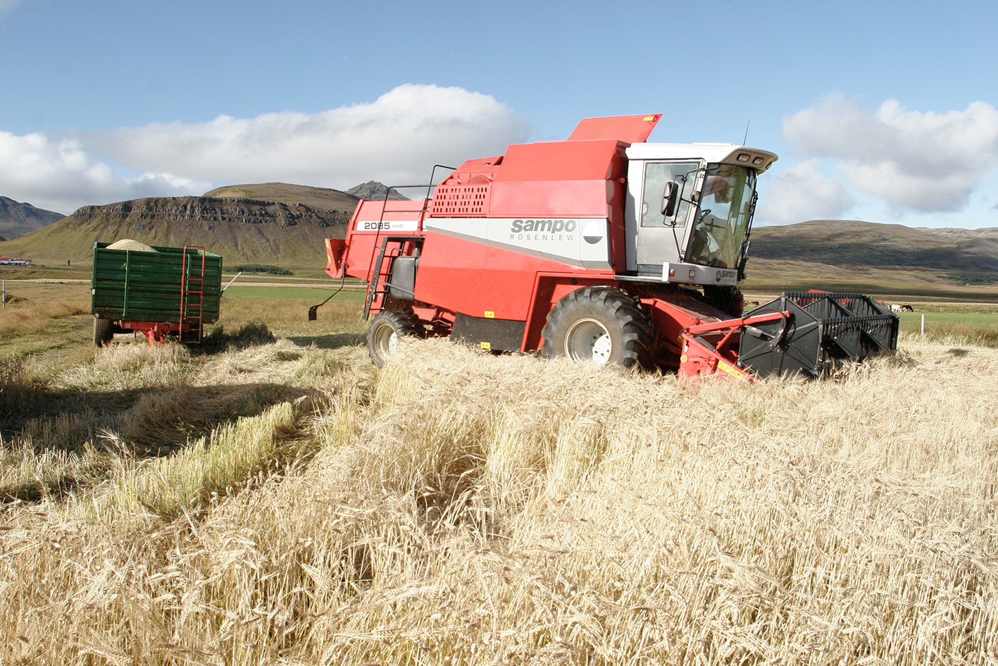 Kornbændum fjölgaði milli ára