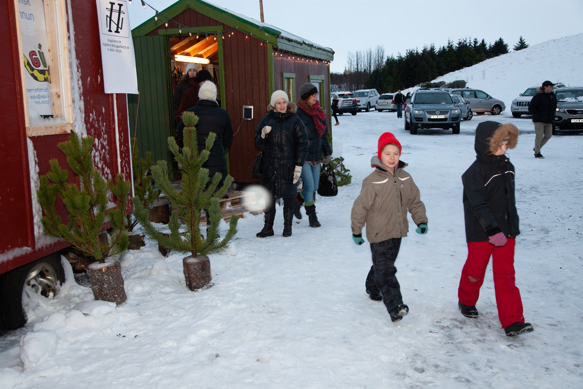 Jólaskógarnir opnir á aðventunni