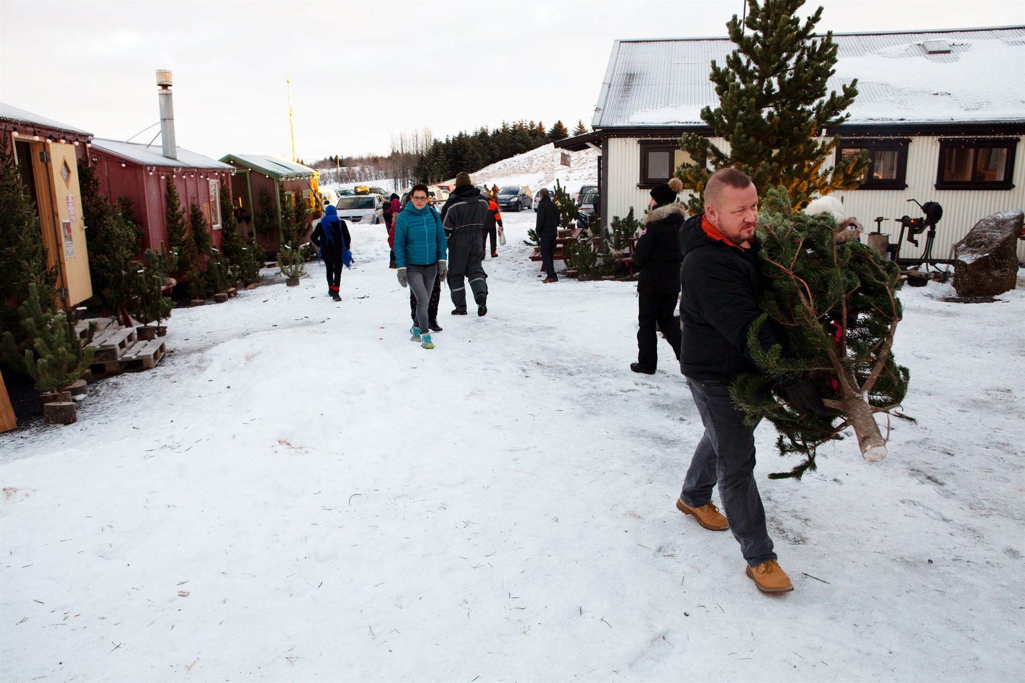 Áhersla á upplifun utandyra á jólamarkaði Skógræktarfélags Reykjavíkur