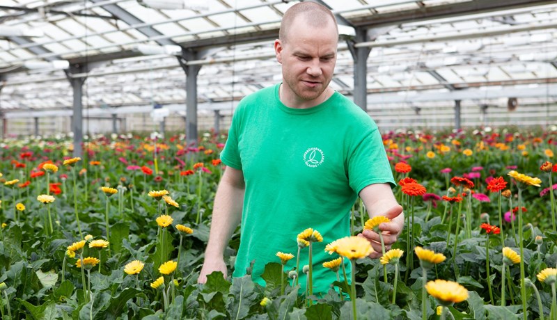 Sala á íslenskum blómum hefur aukist mjög í farsóttarástandinu