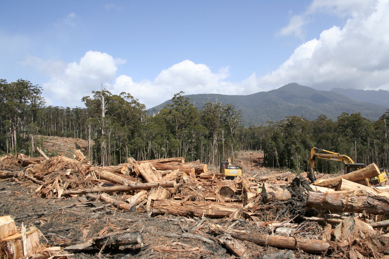 Krefjast banns á námuvinnslu og skógarhöggi