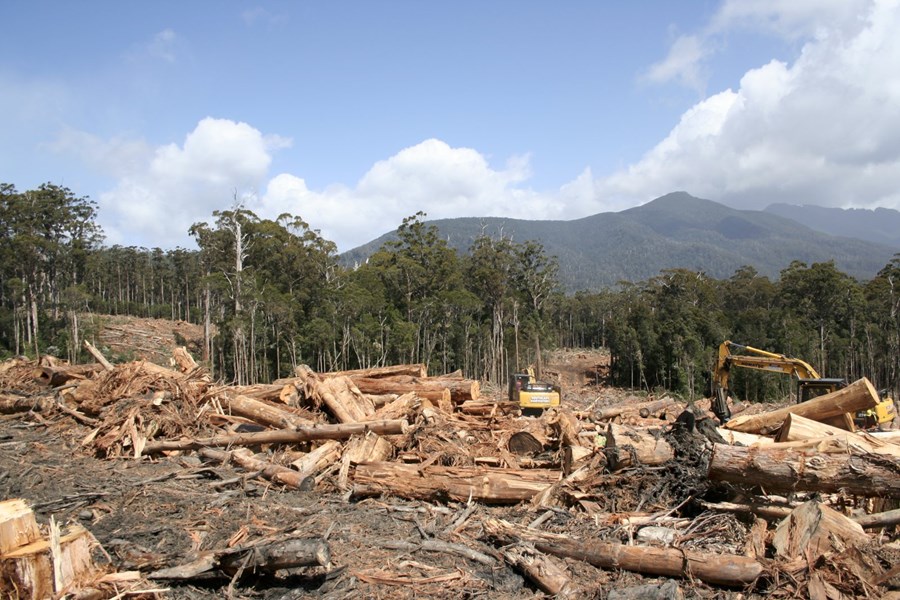 Krefjast banns á námuvinnslu og skógarhöggi