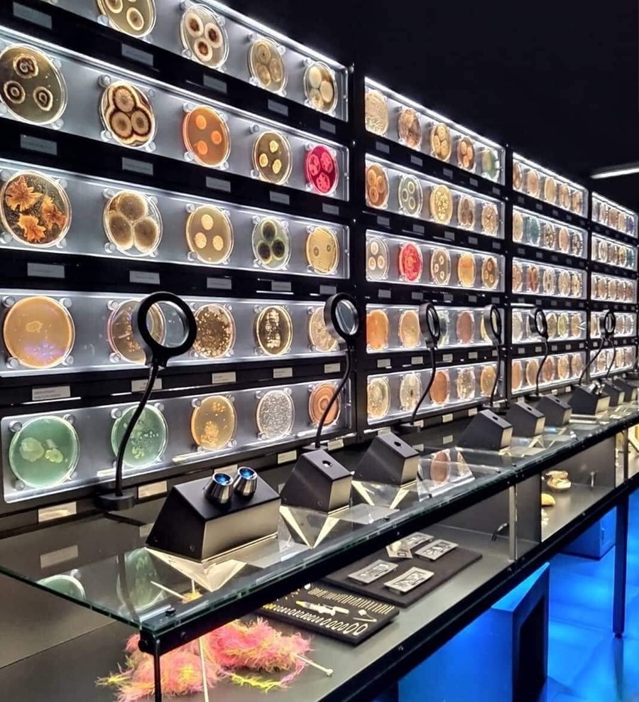 Micropia er forvitnilegt almenningssafn, rannsókna- og kennslustofnun, tileinkuð örverum og örverufræði, í miðborg Amsterdam.