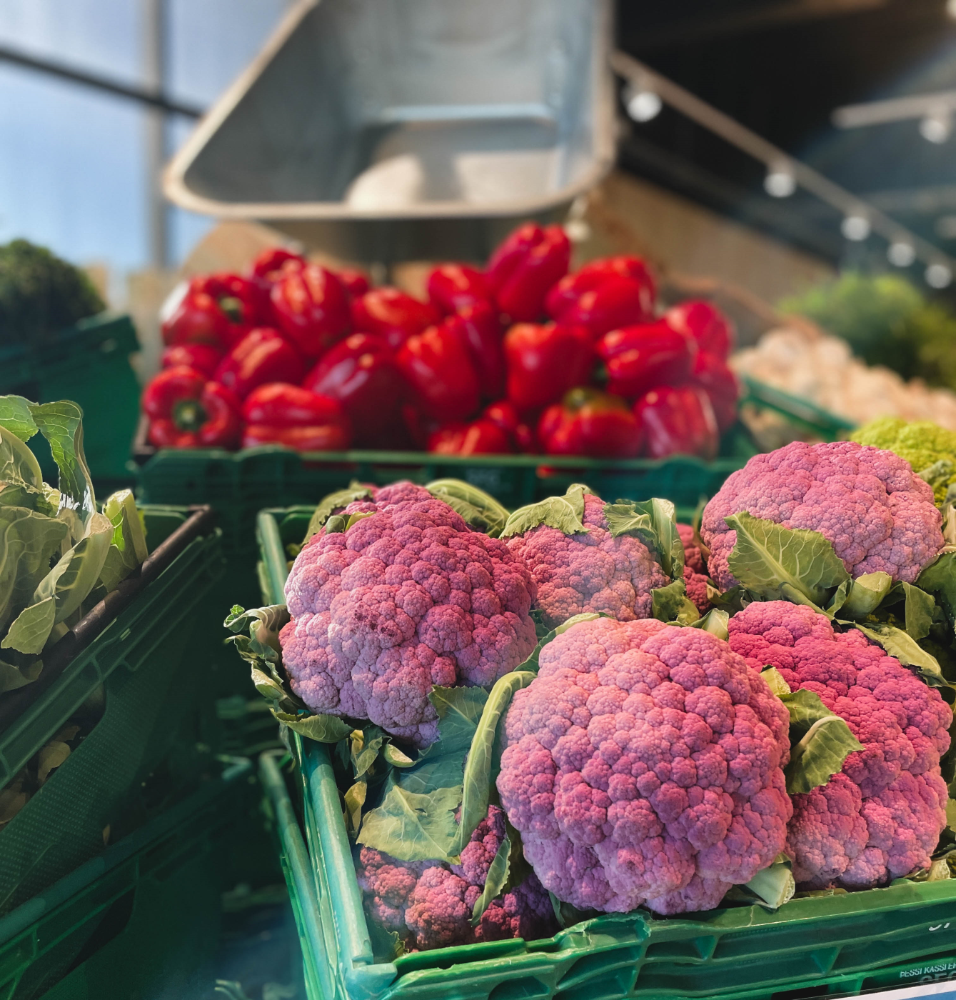 Bændur prófuðu nýjungar