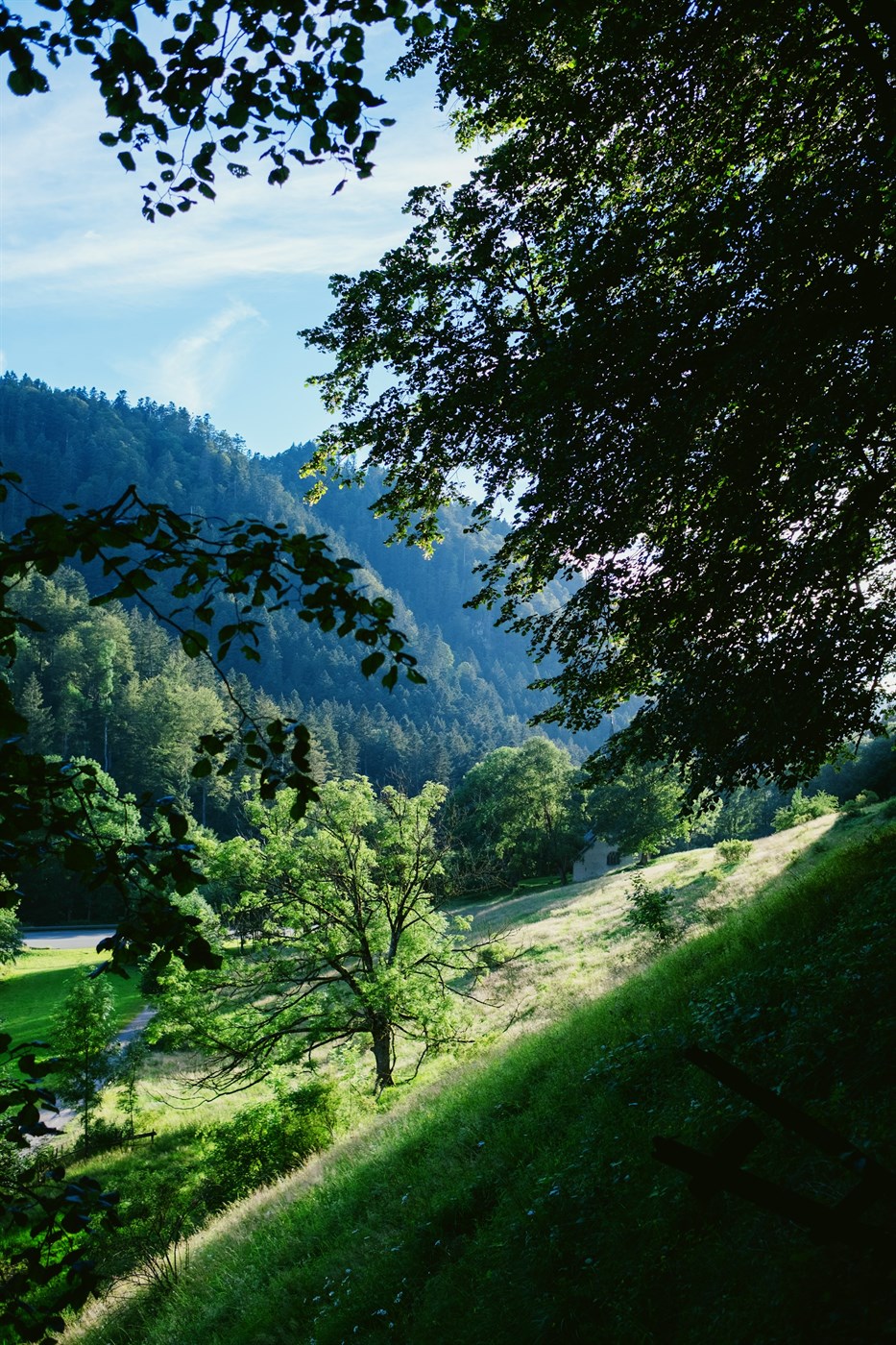 LIFE-styrkirnir ógagnsæir