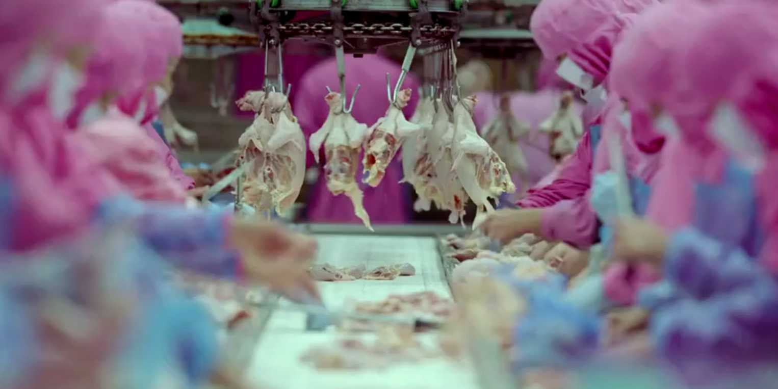 Gríðarleg aukning er í notkun sýklalyfja í landbúnaði í Asíu