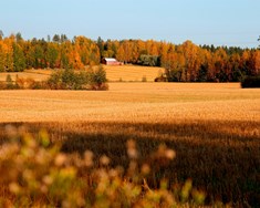 Var þetta svona frábært í Finnlandi?