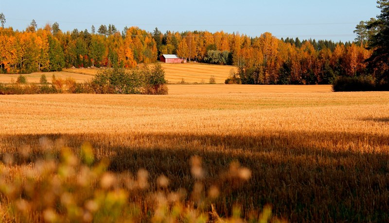 Var þetta svona frábært í Finnlandi?