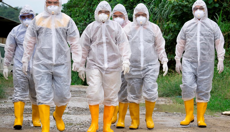 Smitgát á kúabúum