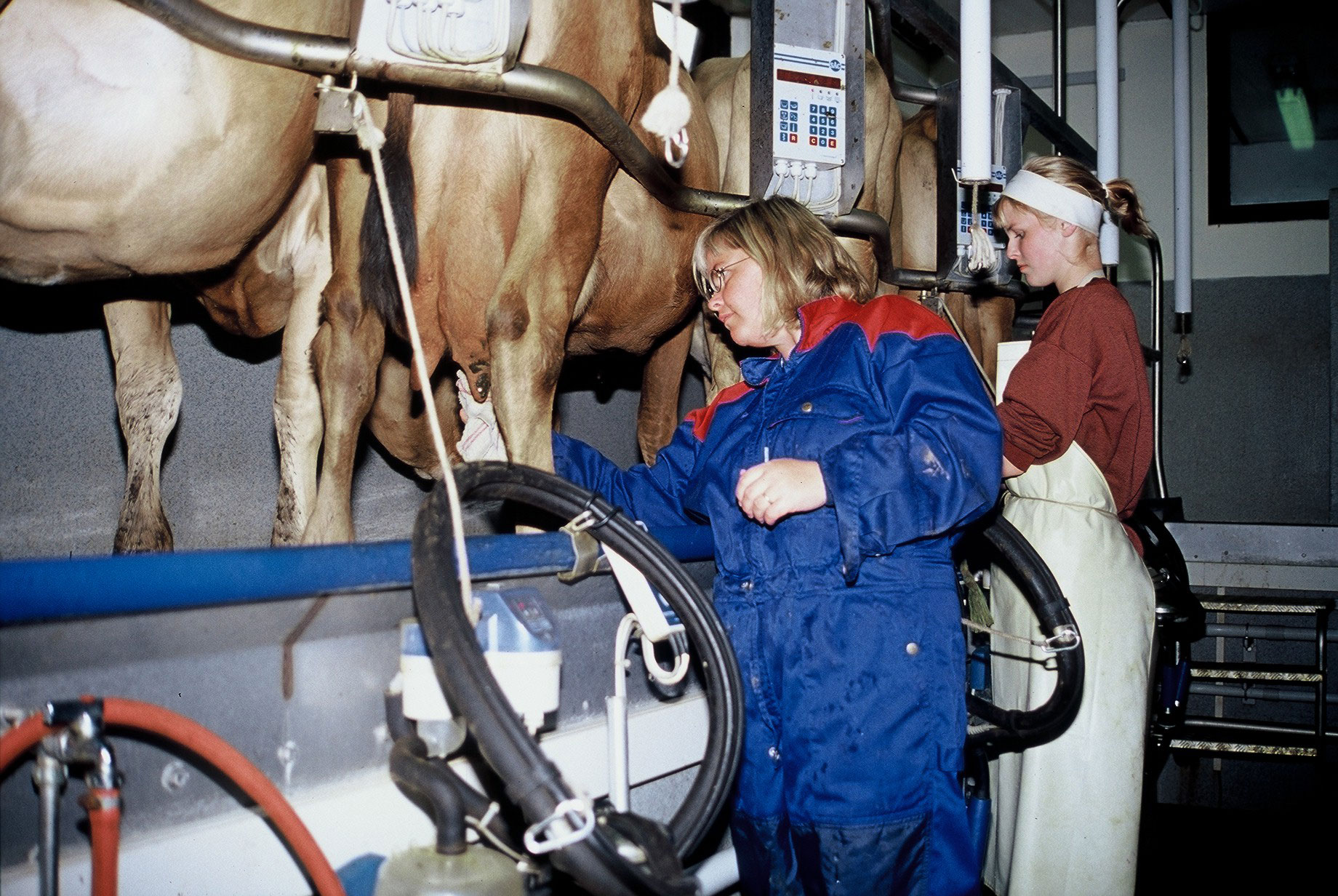 Heildarsala á mjólkurafurðum hefur aldrei verið meiri