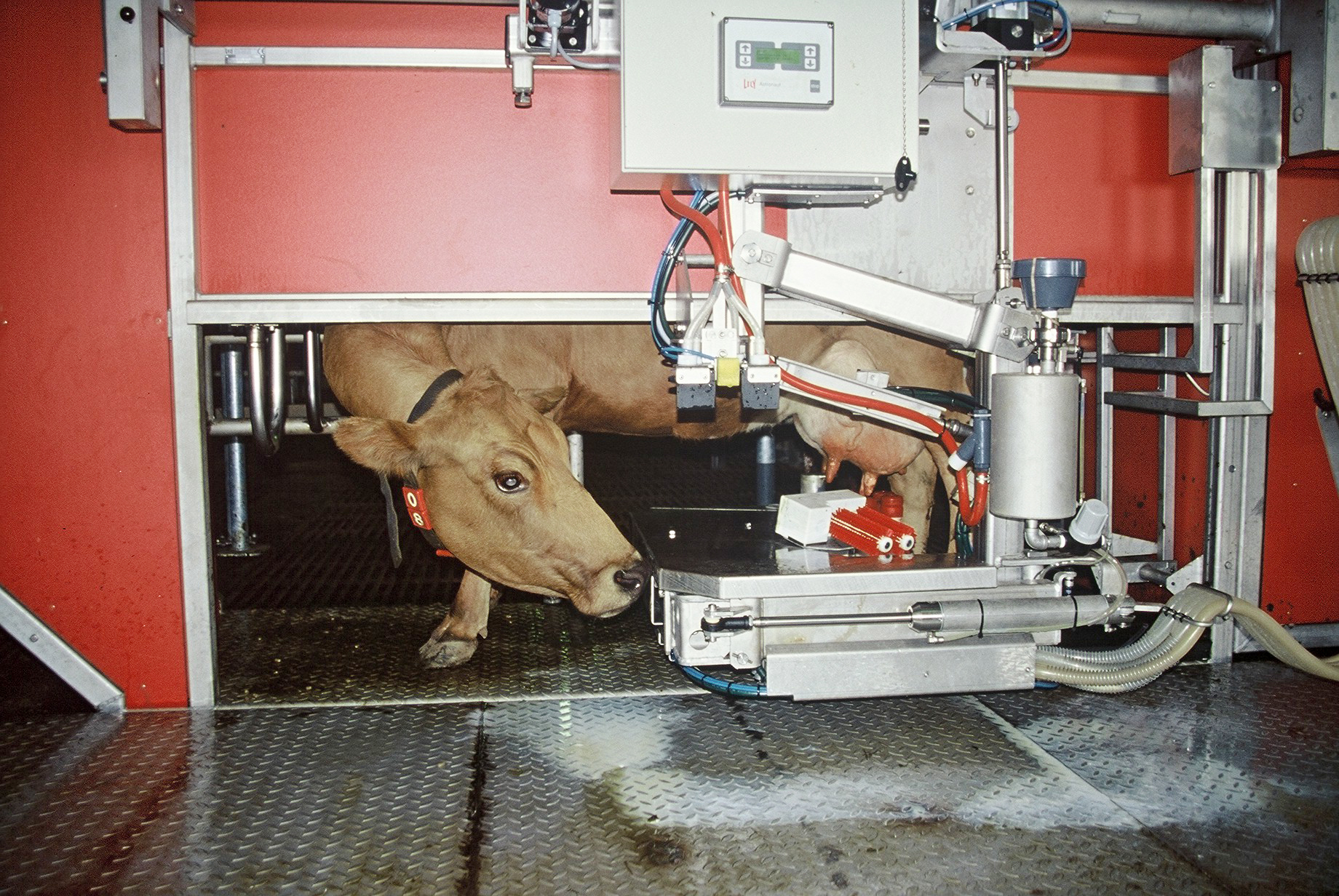 Efnainnihald mjólkur