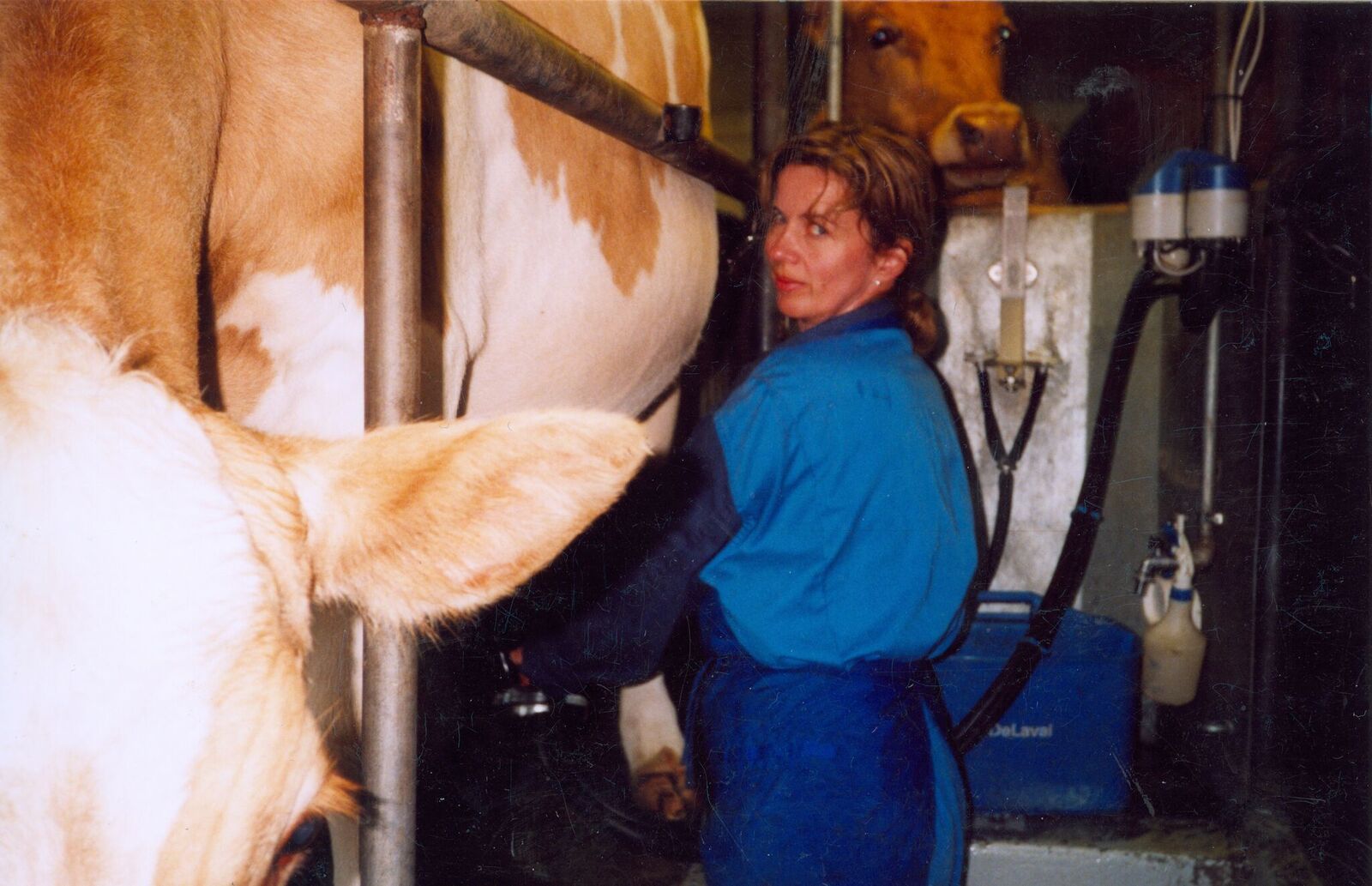 Konur í landbúnaði