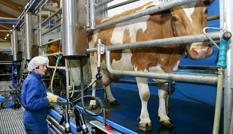 Ekki var tilefni til verðhækkunar á greiðslumarki