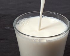 Telja íslenska mjólk fara betur í maga