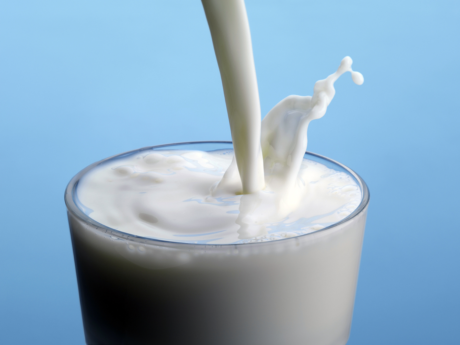 Það er best að kjósa XD