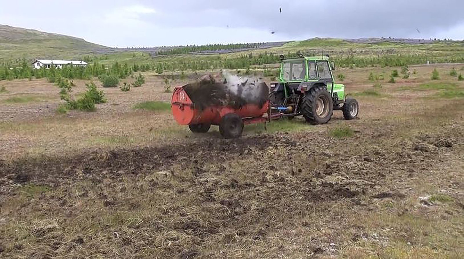 Bóndi í Reykholtsdal hefur grætt upp 80–90 hektara og sett niður 34.000 tré