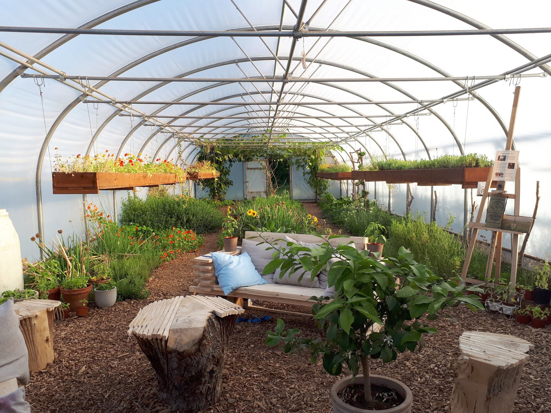 Fordómar í garð lífræns landbúnaðar innan LBHÍ afhjúpaðir