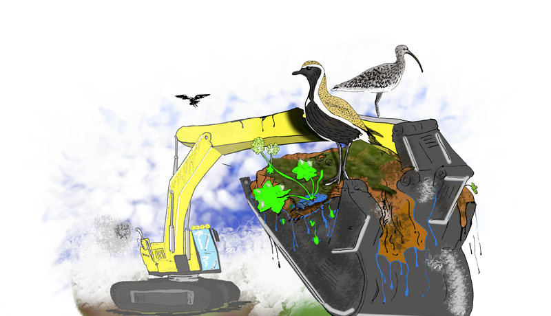 Lóum og spóum fækkar ógnvænlega