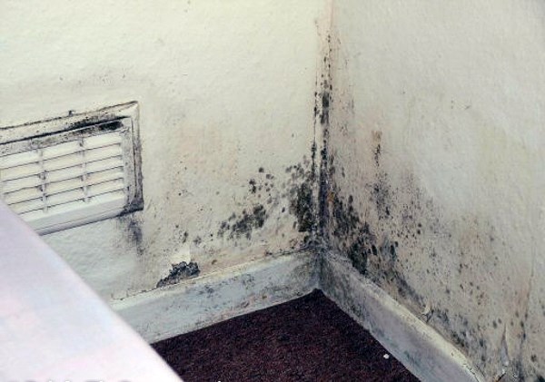 Húsnæðisaðstæður barna: Ísland með sjöttu verstu aðstæðurnar í Evrópu