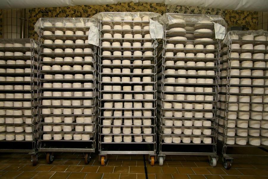 Hver er skoðun frambjóðenda á rekstrarumhverfi mjólkurframleiðslunnar?