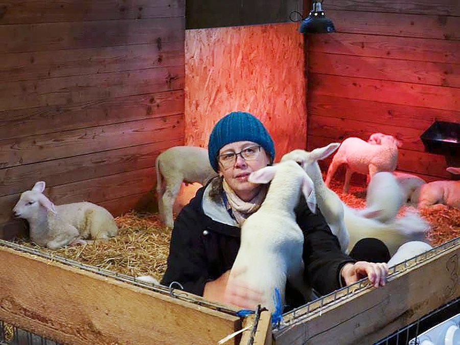 Guðlaug Gísladóttir hefur verið búsett í Bandaríkjunum í rúm 30 ár og eftir að hún fór á eftirlaun í lok árs 2015 vinnur hún sem sjálfboðaliði á sauðfjárbúi á Whidbey-eyju norður af Seattle í Washington-ríki.