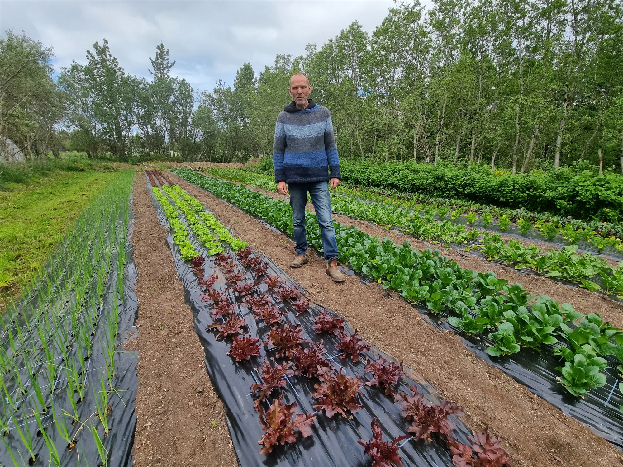Alls konar gómsætt og gott úr sveitinni