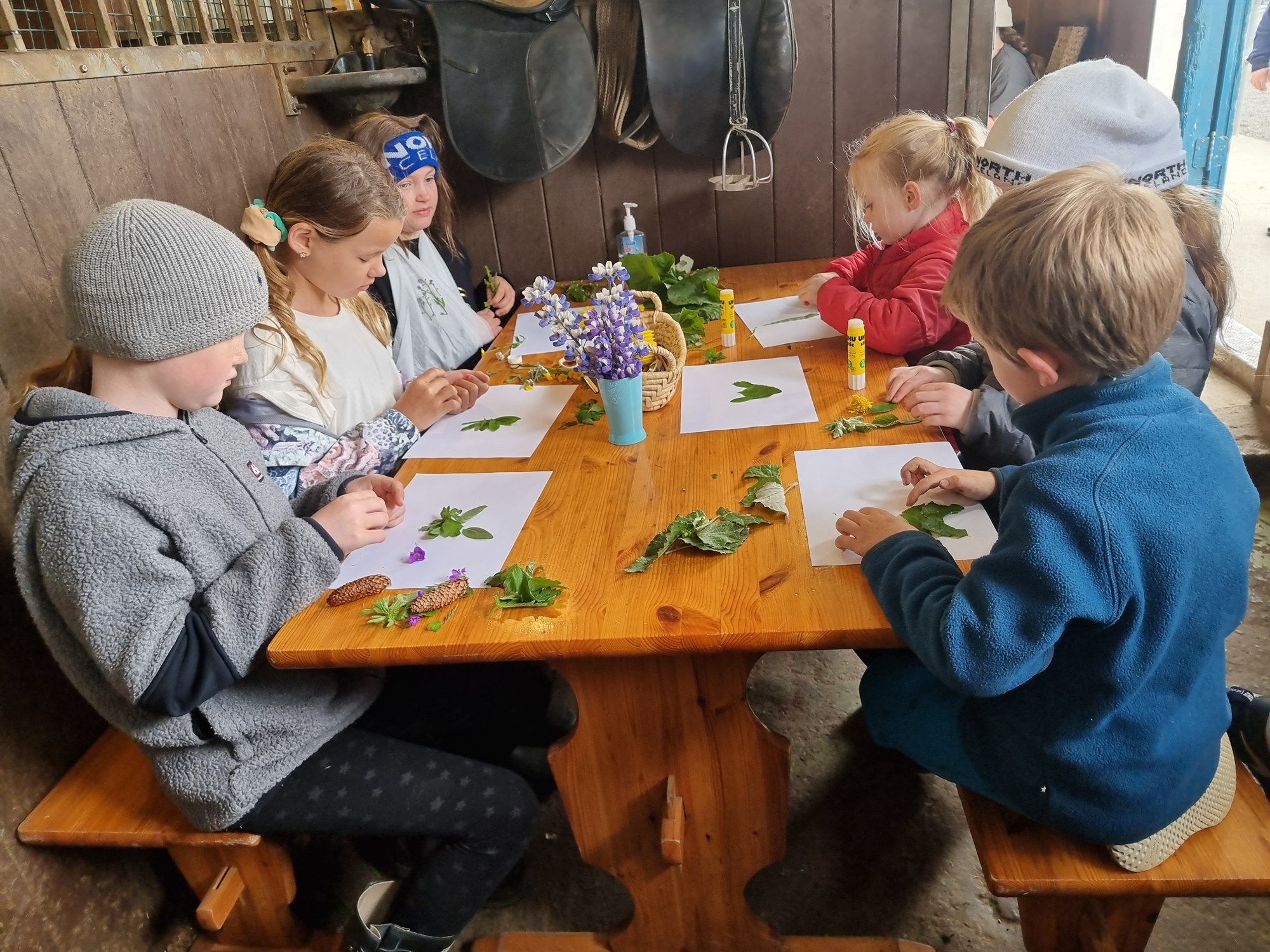 Fjölbreytt sambland af dýra­um­hirðu og kennslu ólíkra listforma