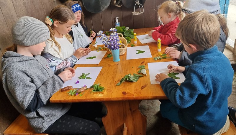 Fjölbreytt sambland af dýraumhirðu og kennslu ólíkra listforma