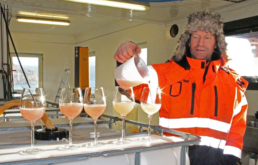 Geir hellir nýpressuðum safanum í falleg glös til smökkunar en úr safapressunarvélinni er safanum dælt í þúsund lítra tank þar sem hann er geymdur fyrir gerilsneyðingar- og átöppunarferlið. Nýpressaður, 100 prósent hreinn eplasafi úr Sommerred-tegundinni.