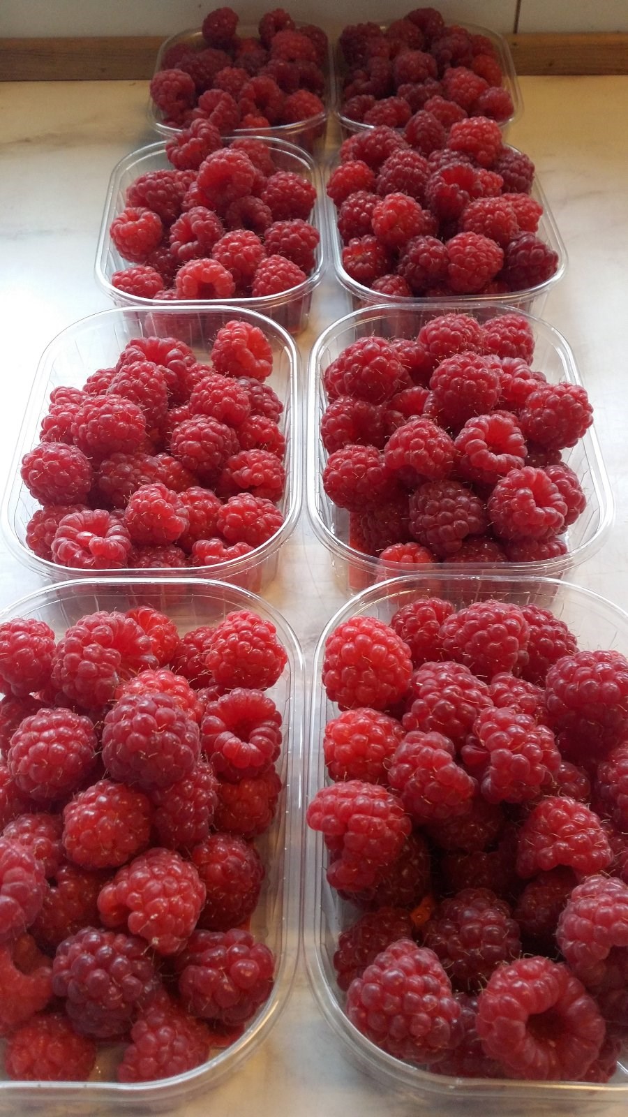 Hindber eru til margra hluta nytsamleg, hvort sem í eftirréttinn, ísinn eða í saft og sultur.