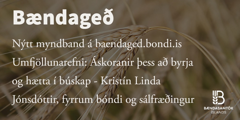 Á ég að byrja eða hætta?