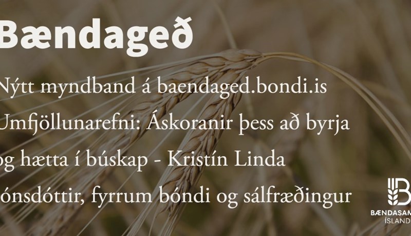 Á ég að byrja eða hætta?