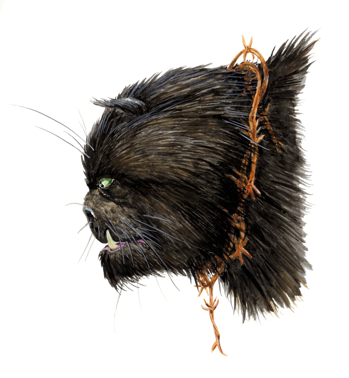 Jólakötturinn – uppruni hans, ættir og hlutverk