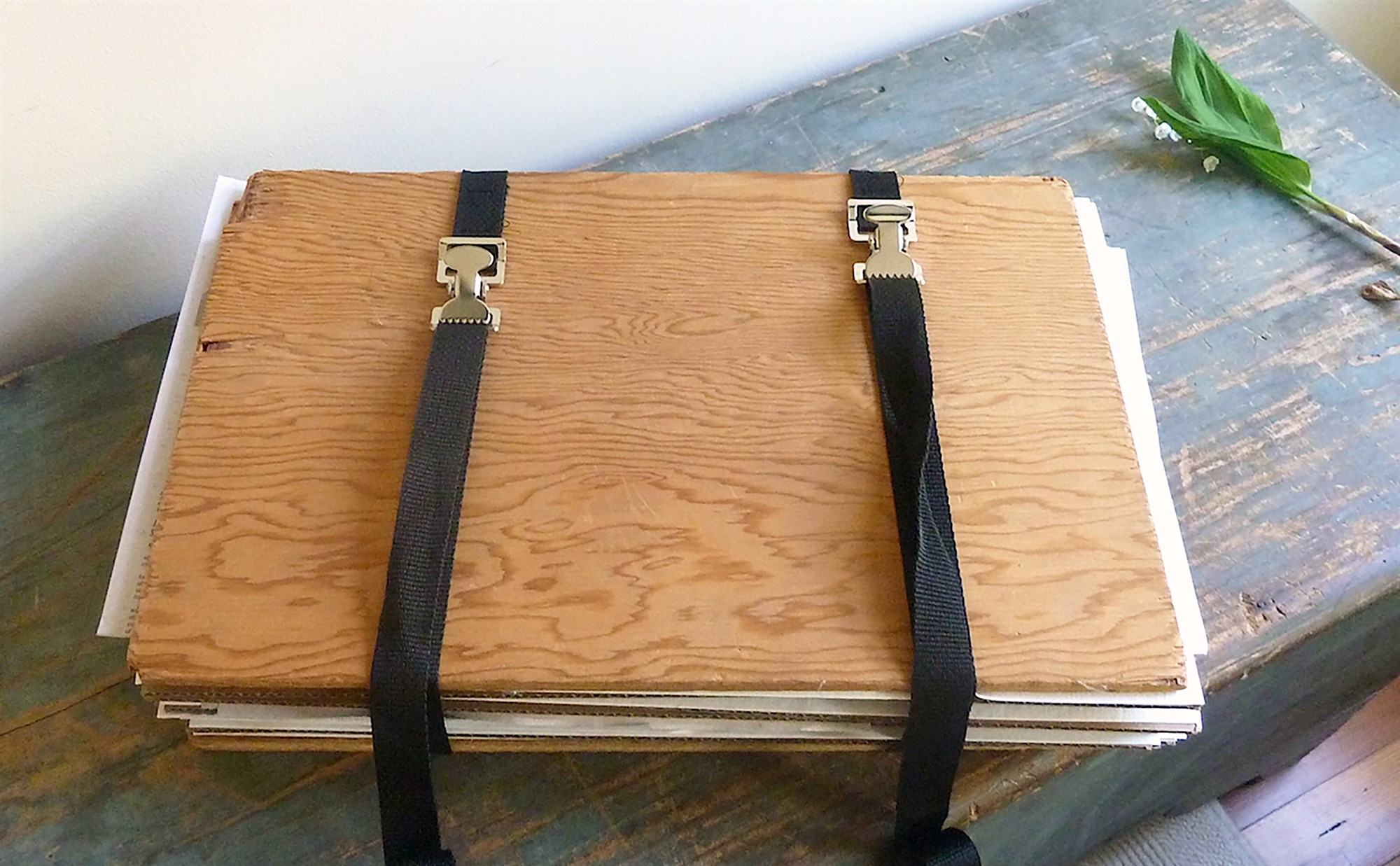 Herbarium Islandicum