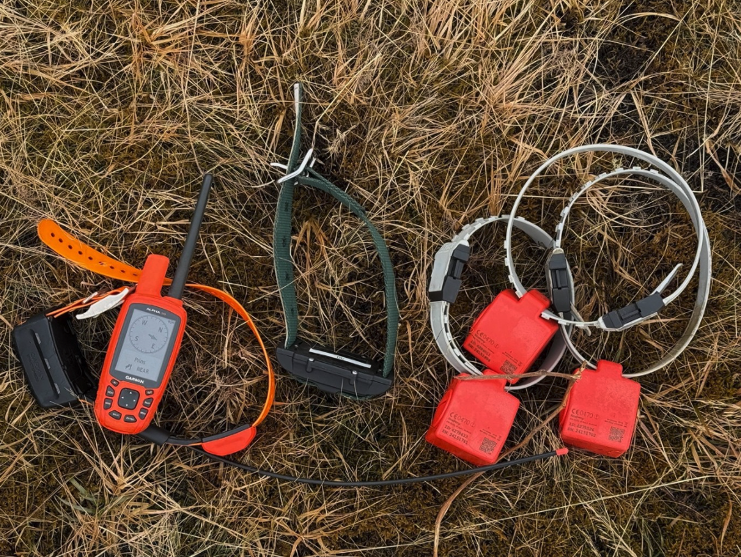 Notkun GPS tækja  í eftirleitum