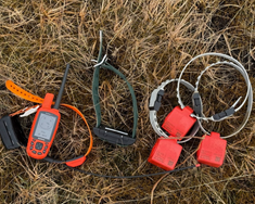Notkun GPS tækja  í eftirleitum