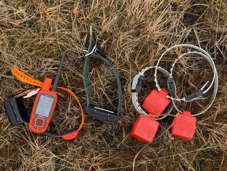 Mynd 1 – GPS tækin sem voru notuð í prófuninni.  Frá vinstri: Garmin Alpha 50 handtæki og hundaól, tæki frá Félagsbúinu Sandfellshaga (svart með grænni ól), og þrjú Model Red tæki frá findmy í Noregi.