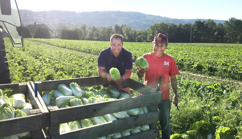 Norsk vél losar bændur við að nota eiturefni í landbúnaði