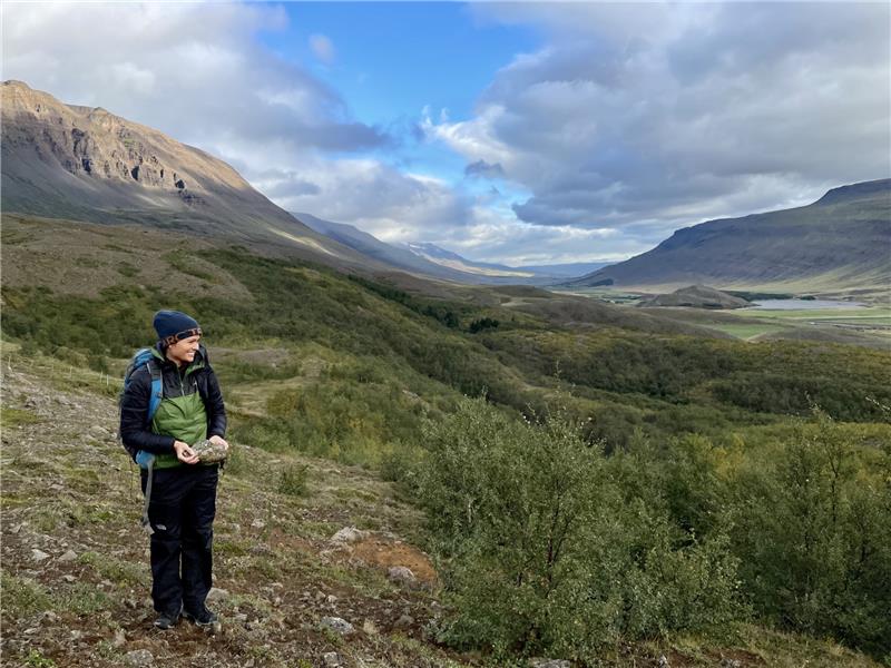 Endurheimt birkisk&#243;glendis &#225; &#205;slandi