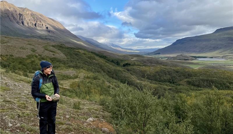 Endurheimt birkiskóglendis á Íslandi