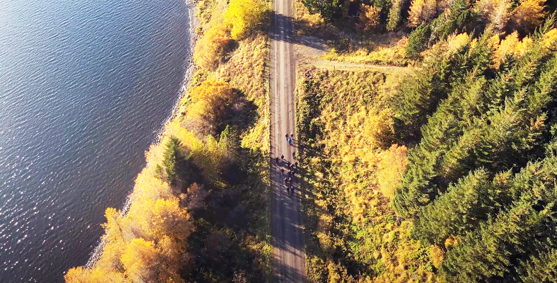 Mikilvægt er að skógar, sem aðrar auðlindir, séu sjálfbærir