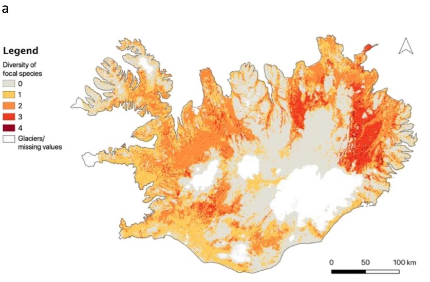 Rannsóknir á íslenskum grasbítum